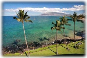 Awesome Snorkeling at Kamaole Nalu