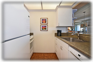 Whaler 1063 Kitchen