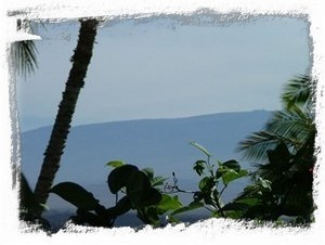 Mauna Kea view