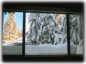 Front room Window view 2010