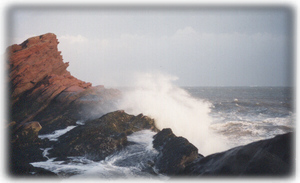 Sugarloaf Rock, on our beach