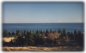 View from the cottage decks