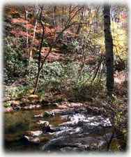 View looking across river