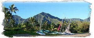 Hanalei Beach is 5 minutes away...