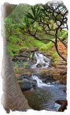 Walk Past This Waterfall On The Way To Queen's Bath in Princeville