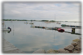 a view of Quonnie Pond near house