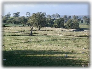 The Yorkshire Dales