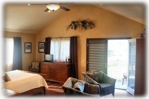Master Bedroom with Patio