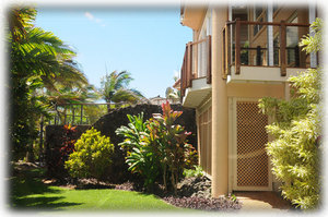 Grass area in the frontside of the house