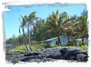 View of Alohahouse from the oceanfront bluff with lots of palm trees!! 