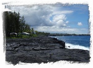 The white roof in the middle of the picture is the Alohahouse