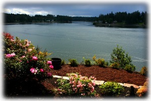 Hammersley Inlet view from back yard