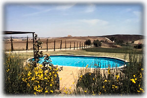 Farmhouse Casa Orcia-swimming-pool