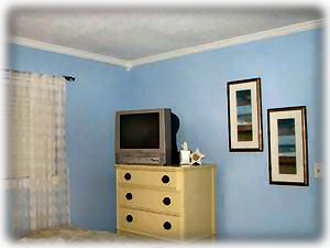 Main room, TV with DVD and VHS