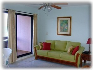 Living area with a Flat Screen TV