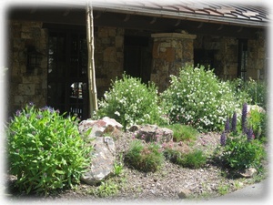 Wildflowers surround the house in the summer