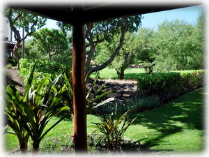 View to golf course and lush tropical garden