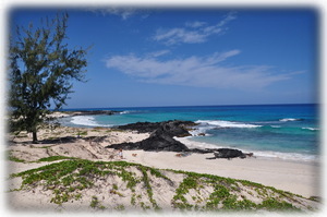 Kohala coast beach