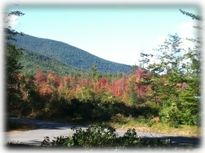 Fall Foliage Colors Starting - the base turns first, then works it's way up