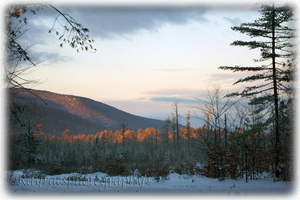 Sunrise kissing the tops of the trees!  Guest Photo