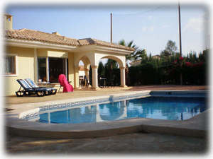 Back garden with pool