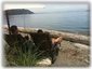 Sandy beach that gently slopes with small pebbles at the waters edge