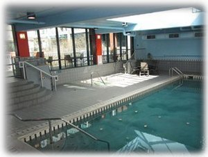 Indoor pool, hot tub and sauna for all seasons! Outdoor patio & BBQ too.