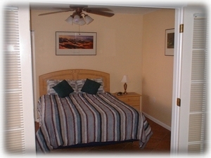 2nd Bedroom with Queen Bed