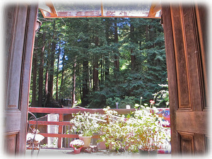 View from the porch of Dome House