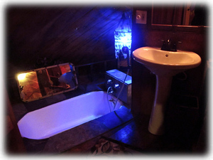 Master bedroom sunken tub
