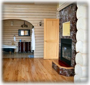 Fireplace in Master Bedrm