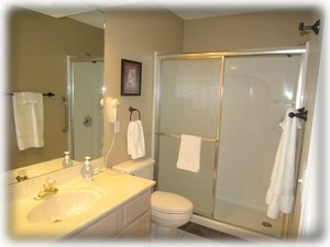 The guest bathroom has an easy access shower stall