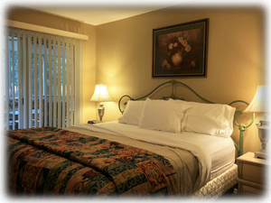 The master bedroom walks out to the screened porch overlooking the brook
