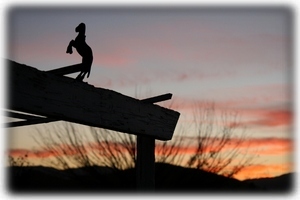 Hummingbird Ranch's Sunset