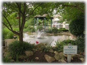 The pond is only a few feet from our screened porch.
