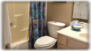 Guest bathroom - Tub with shower and single vanity sink.