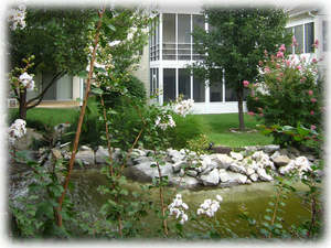 View of your two screened porches from other side of pond