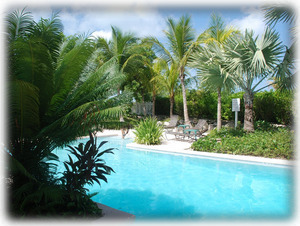 Private Pool at rear of Condo