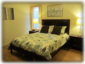 Second bedroom with queen bed