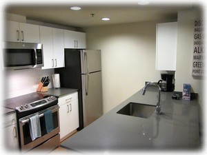 Beautiful kitchen with quartz counters