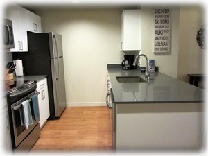 Stainless applicances in remodeled kitchen