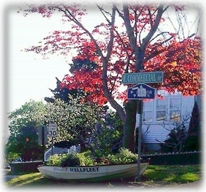 Town of Wellfleet