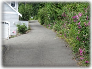 Front of house - not on a main road for more peace and privacy