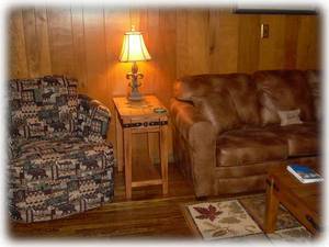 Swivel Chair & Queen-Size Sleeper Sofa