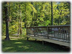 Hammock {Between Trees On Left} & Side Deck