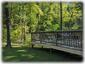 Hammock {Between Trees On Left} & Side Deck