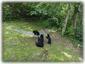 Guests Observing Family Play Day At The Chalet From A Safe/Enclosed Distance