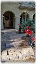 Fountains and Poinsettias line the walkway for the Holidays of 2015