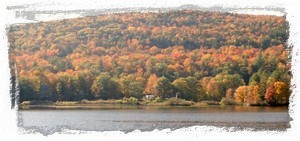 View is beautiful from deck any time of year