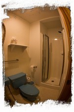 Hall bath with retro fixtures and newer stall shower